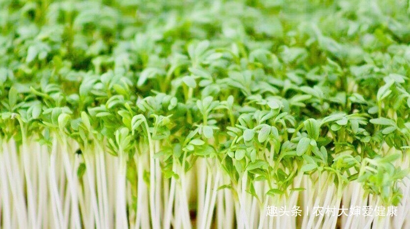 卵巢癌|女性不想得卵巢癌，每天食此菜，防止失眠，能讓子宮越來越干凈