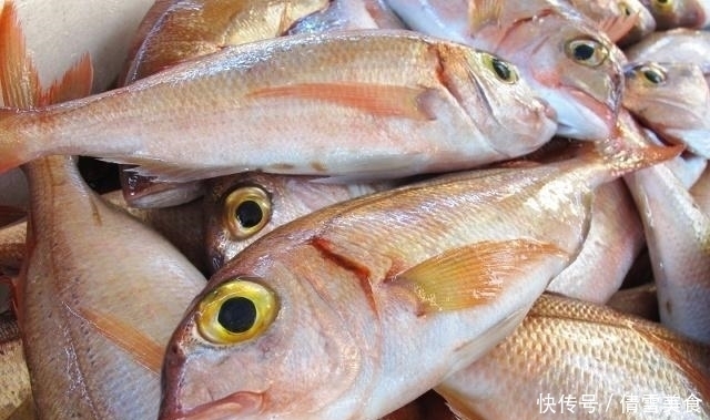 地下水|同样都是鱼,河鱼和海鱼都可以吃,为啥井鱼不可以吃大有学问