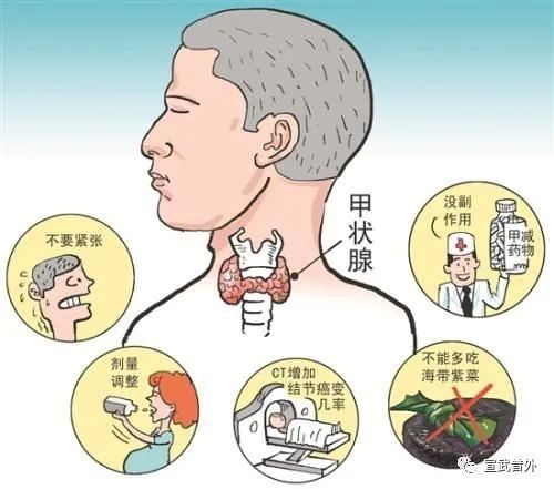 甲状腺功能|怕冷又怕热的小蝴蝶—甲状腺