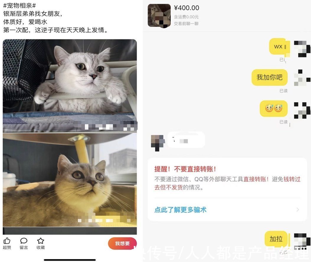 赵磊|闲鱼破圈迷局：新用户、多元化和下一个B站？