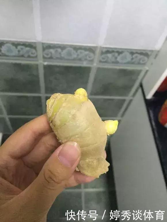 生姜切1刀丢盆里，7天发芽，半年变成“1桶姜”！