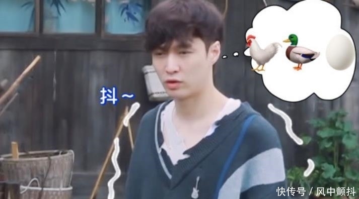 刘晓邑 下期《向往5》迎来最猛女嘉宾,进鸡窝徒手抓鸡,张艺兴都看懵了