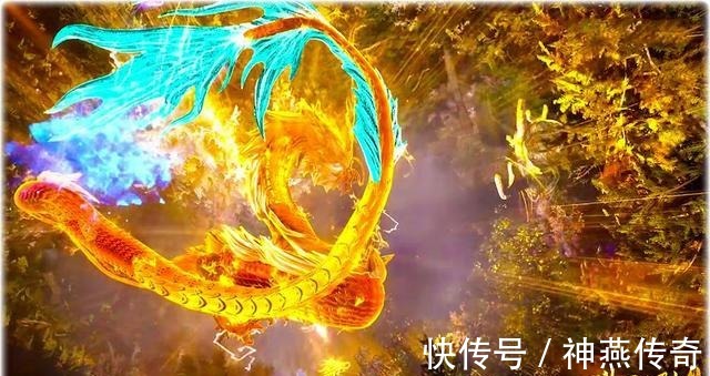 等级|斗罗大陆黄金铁三角要是都到封号斗罗,施展融合技是否无解