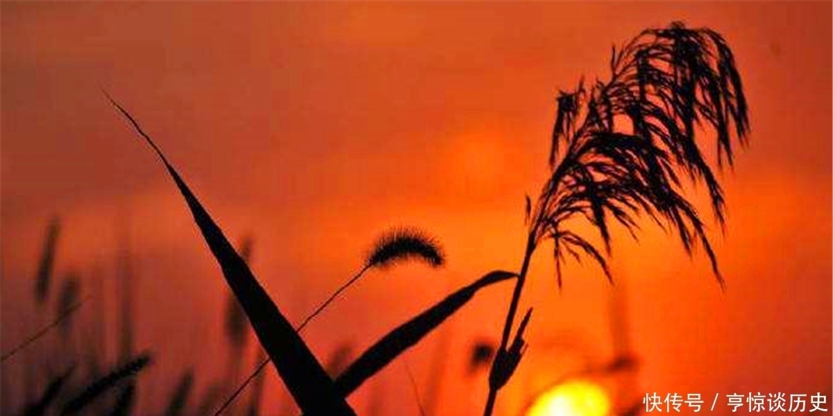 性本善|古语说“举头三尺有神明”,为何是三尺?下句更经典却少有人知