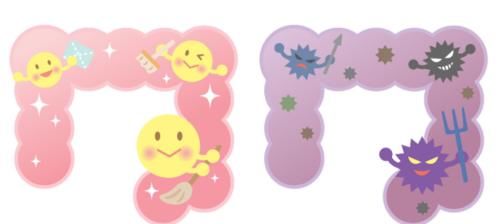 胃肠道|肠鸣,屁多,腹痛,有时腹泻有时便秘,这是什么原因?该怎么办?