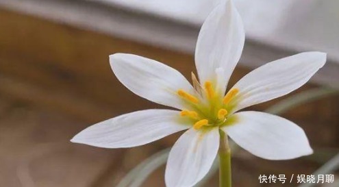 就凭这3件事,每个家庭代代出人才!