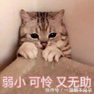 你是什么脸型,就穿什么风格!选错丑10倍!