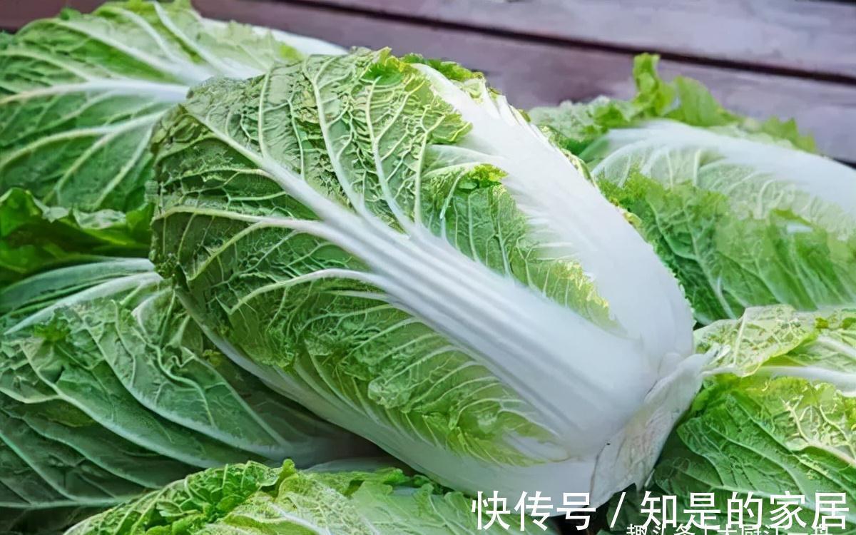 保存白菜其实很简单,教您2招,放半年照样新鲜,真的是太实用了