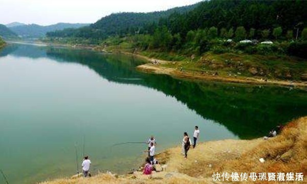 钓位|野钓的几类绝佳钓位,一年四季都可以钓到鱼