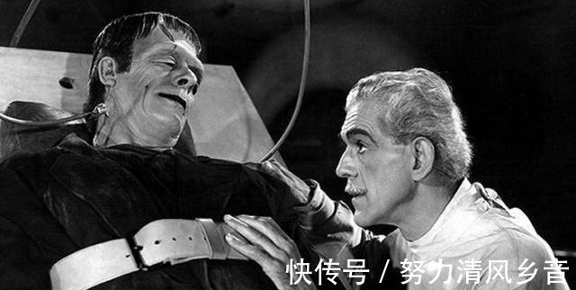 草帽团|海贼王草帽团的原型,路飞的创作灵感来自龙珠,罗宾是埃及艳后