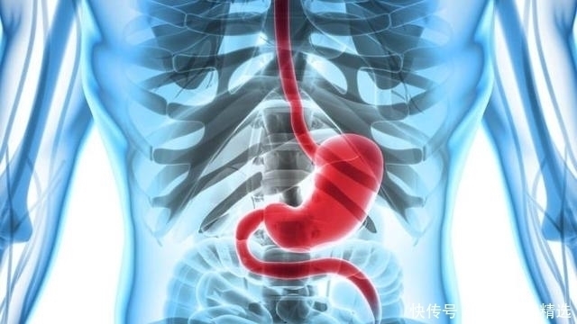 想养胃,多吃2种蔬菜就够了,“刮走”幽门螺杆