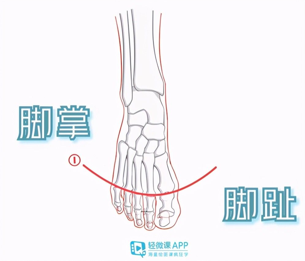  动漫插画人物脚部结|脚老是画不对？那是你不懂脚的结构该怎么画！