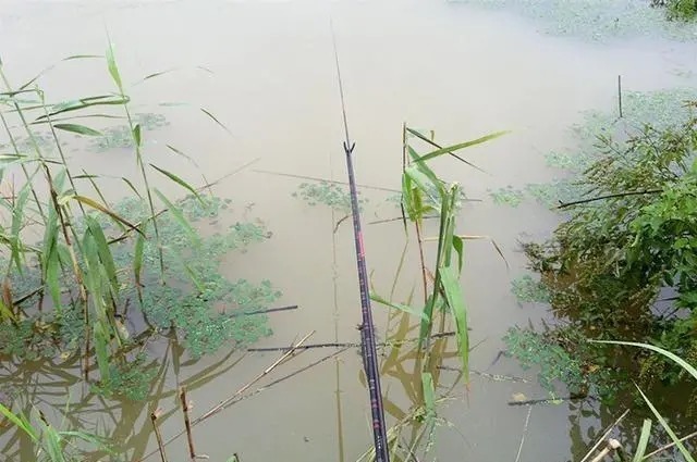 野钓不上鱼，钓友莫发愁，老钓友分享3招