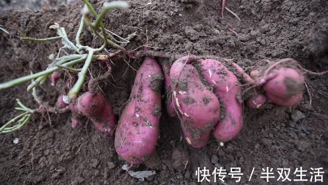 减肥期间|女生“152-176cm标准体重”是多少?若你符合,真令人羡慕