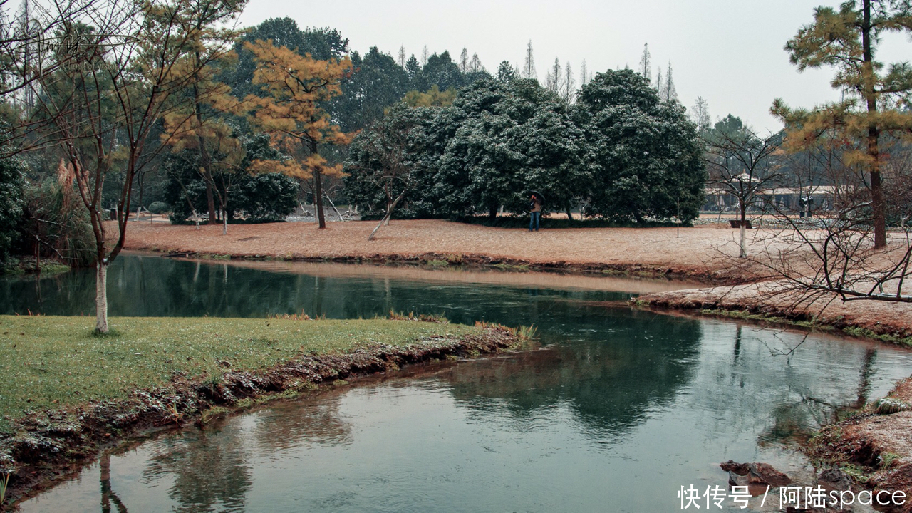 杭州的初雪，总是来得那么突然，使美景更添诗意