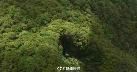 极危物种|云南天坑接连发现百年极危物种