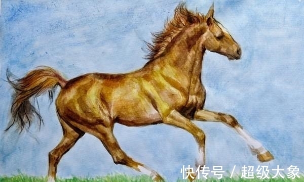 康壮|十二生肖之马，2022壬寅虎年运势详解，出生年份不同，运势迥异