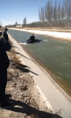 期望|搞笑GIF:10.丈母娘期望女婿的年薪500万左右吧