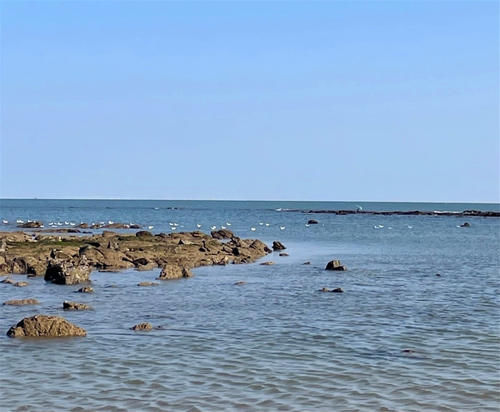 中年|日照旅游吃住行玩攻略，还不知道如何做功课的小伙伴们这些信息值得看