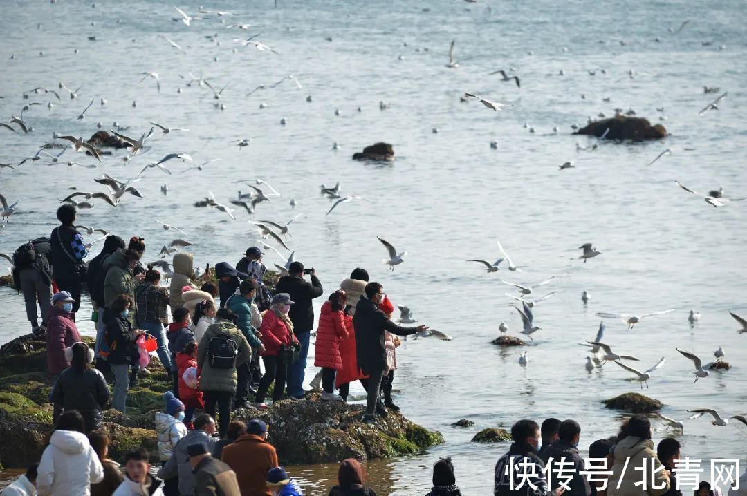 钟大浩|大过年的有人吐槽栈桥不好？还说被青岛人骗了？