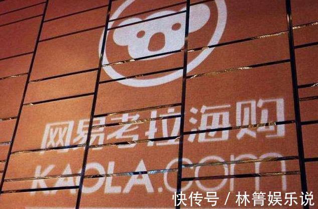 网易养不起“考拉”,阿里拼多多急剁手,网友丁磊全职养猪