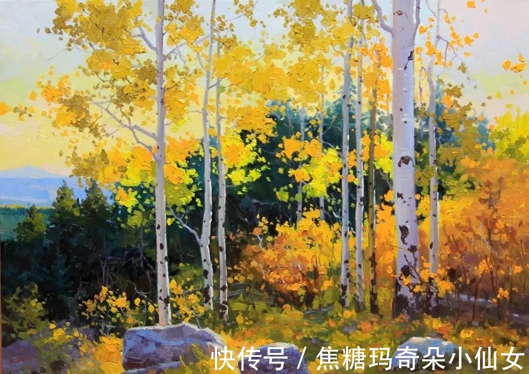 美国肖像协会!白桦林之美