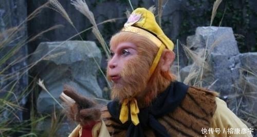 孙悟空|为何老君烧不死孙悟空,如来只敢压五百年?因为有人罩,不是菩提