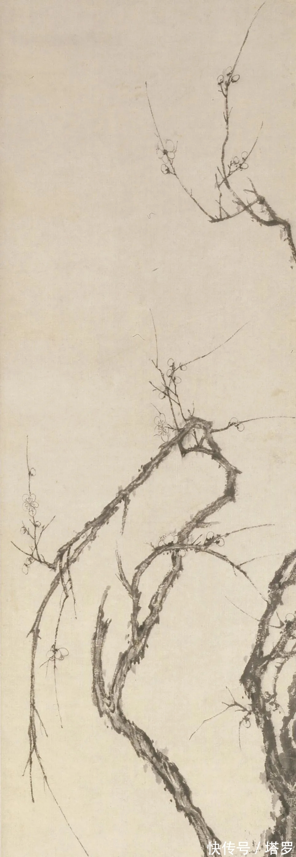 冰心!他的山水画面貌来源于铁骨冰心的梅花|渐江画梅