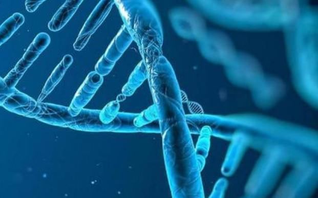 孩子|父亲若有4个特征,很容易会遗传给孩子,特别是第2条,准到离谱!