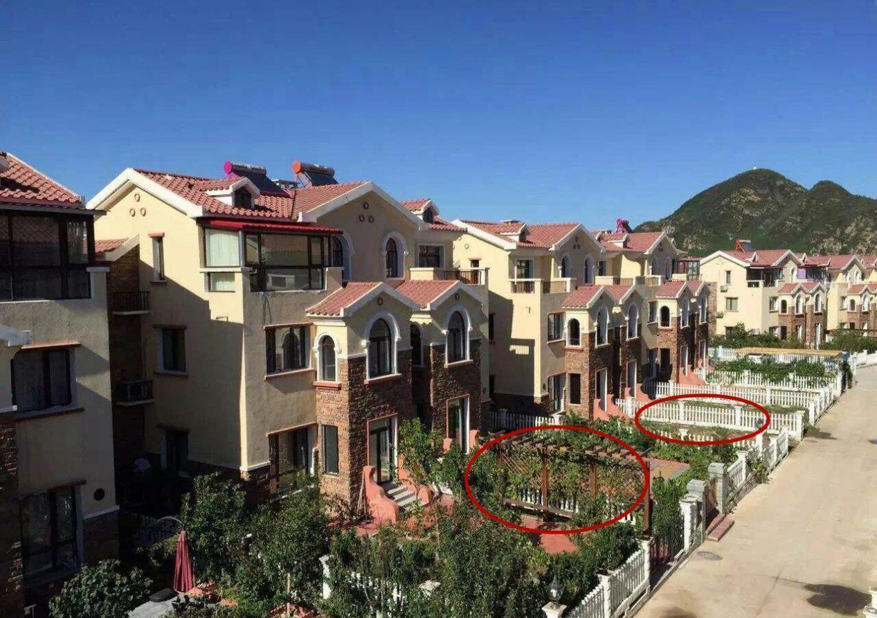 庭院|住的是别墅，门口院子搭圈围墙隔个小花园，邻居不允许：这是联排