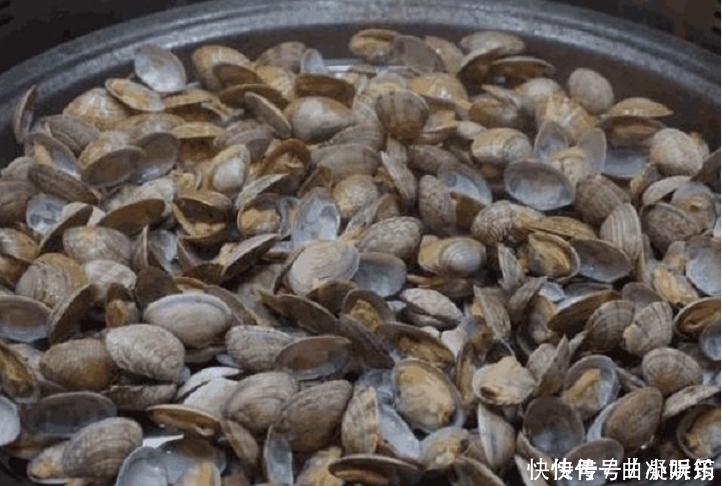 洗花蛤只会放盐 酒店大厨教你1招, 沙子吐得又快又干净, 贼管用