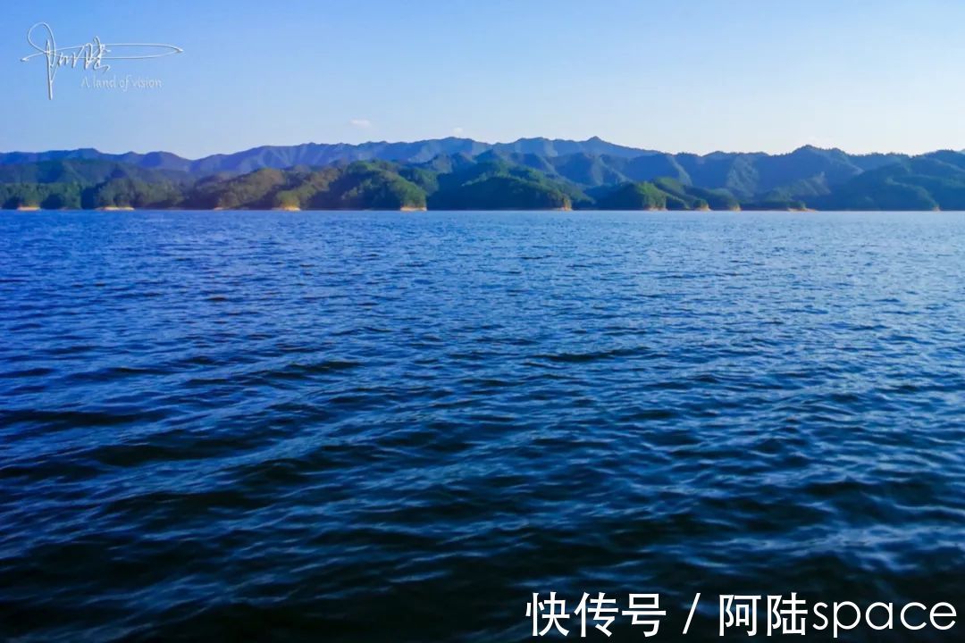 千岛湖景区|野猴伤人推人事件频发,为什么杭州千岛湖景区里的就那么听话?