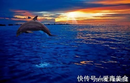 致癌物质|经常吃鱼能健脑、对心脑血管效果好,可有3种鱼或不能随便吃的