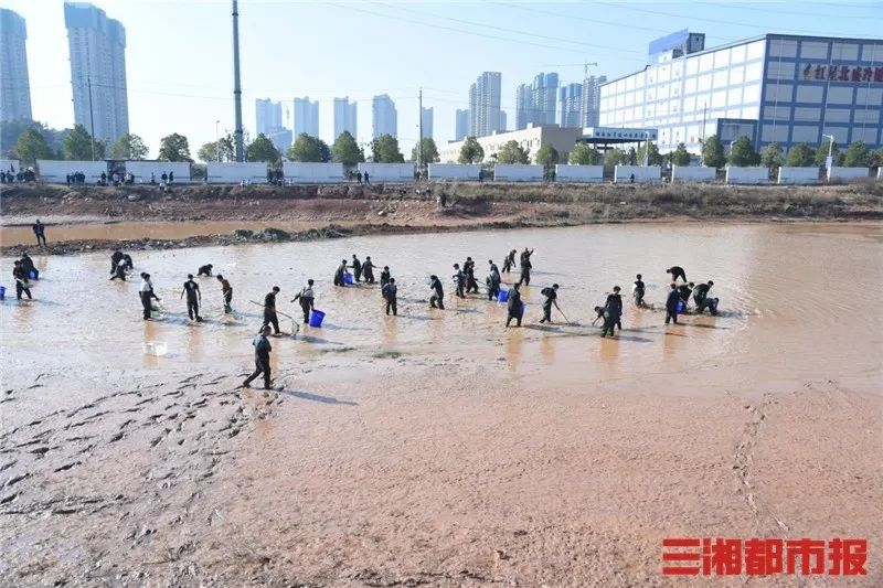 又是别人家的！湖南这所学校捞鱼请学生免费吃