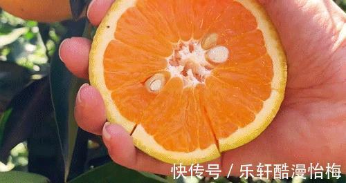 夏橙|建议不管有钱没钱,8月别错过这五种水果,营养美味身体棒