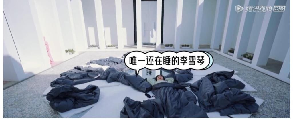 《五十公里桃花坞》坞长行为艺术翻车，张翰在线吐槽，人设引热议