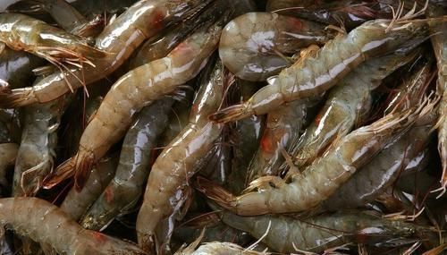 买虾时，如果遇到这5种，再便宜也不要买，健康才是第一位