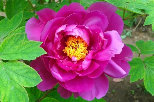 气话|俗话说多说多错,少说少错,想要一生命好福气大,别说4种话!