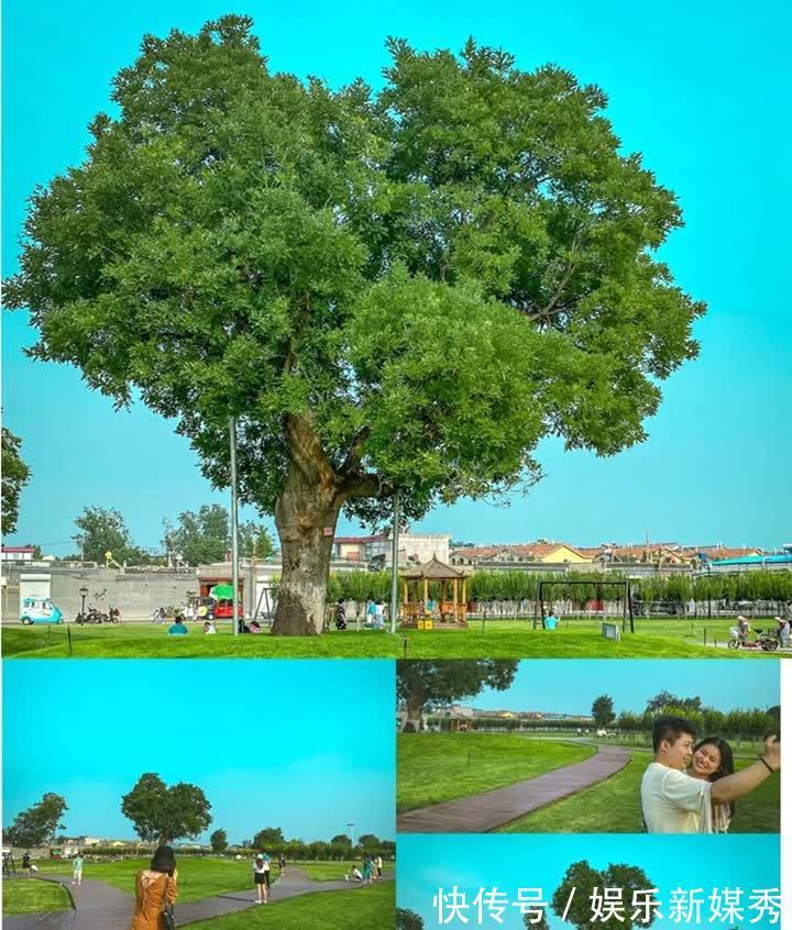 石家庄|张留白的“抗癌日记”:陪我走完2021,不说加油,只说爱你