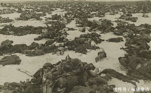 保卢斯|二战时德国最短命元帅,希特勒前一天刚授其元帅衔,第二天便投降