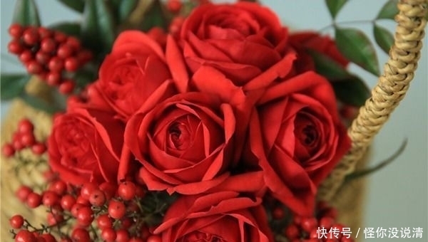 喜欢养花，不如养盆太阳花，养护简单，养一盆看半年花?