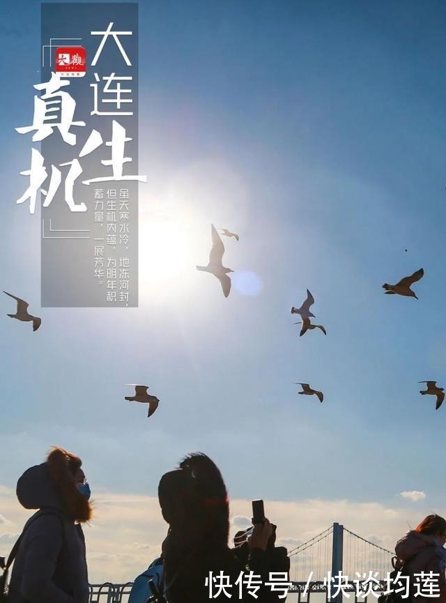 大连|大雪,大连,大生机