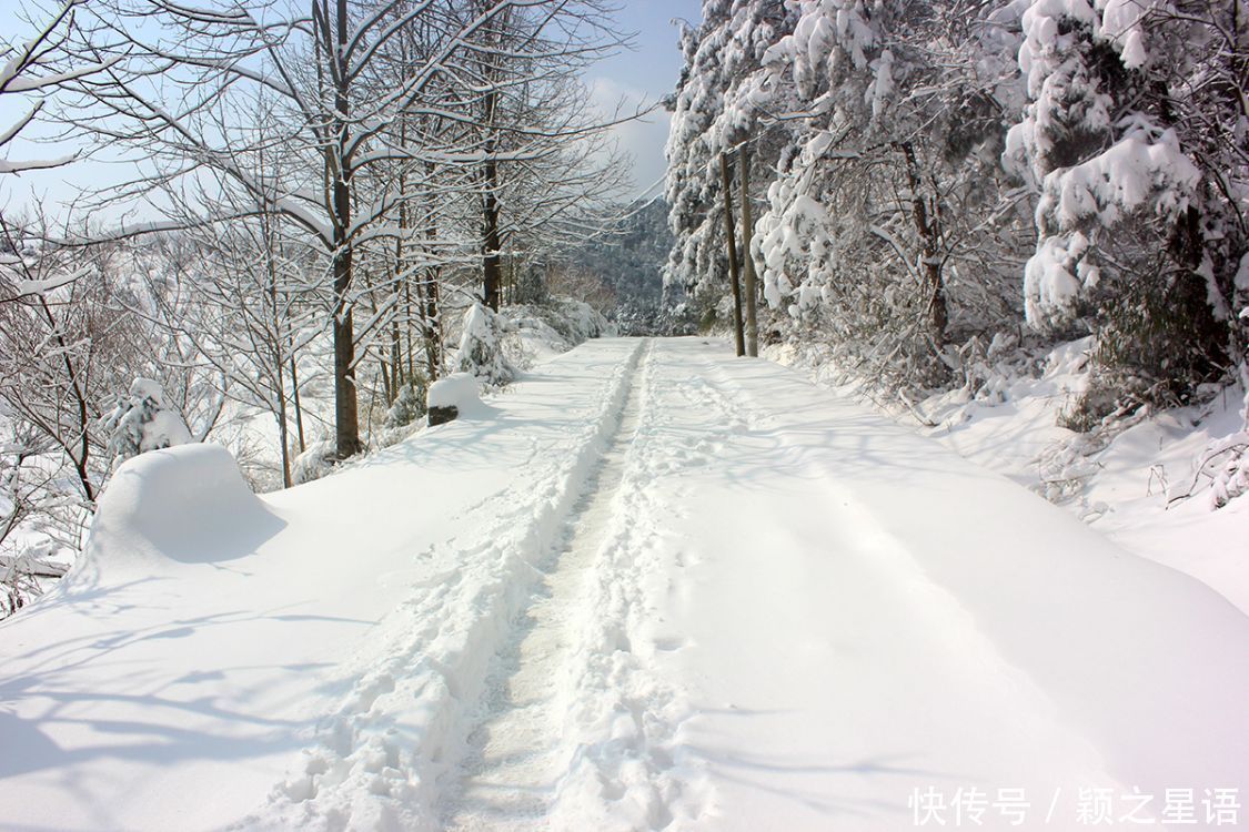 第二庐山商量岗，蒋宋别墅，防空洞和美龄泉