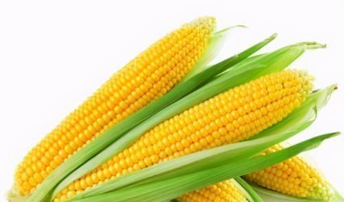 养生|每天坚持吃3种食物，美容养生、延缓衰老，爱吃就赚了！