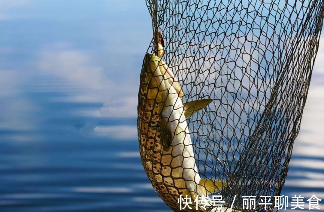 钓鱼|天太冷,这样的冬钓技巧,是谁走漏了风声,我不说你会知道?
