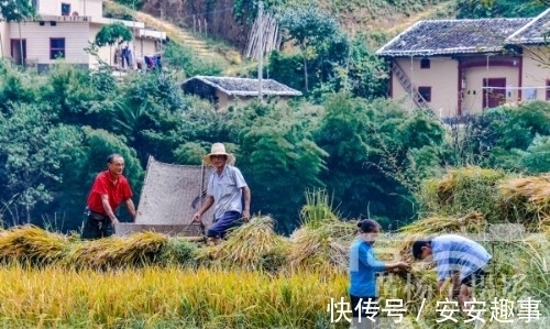 遂川|江西地貌以山地为主的县，有处梯田景观5000余亩，如今成4A级景区