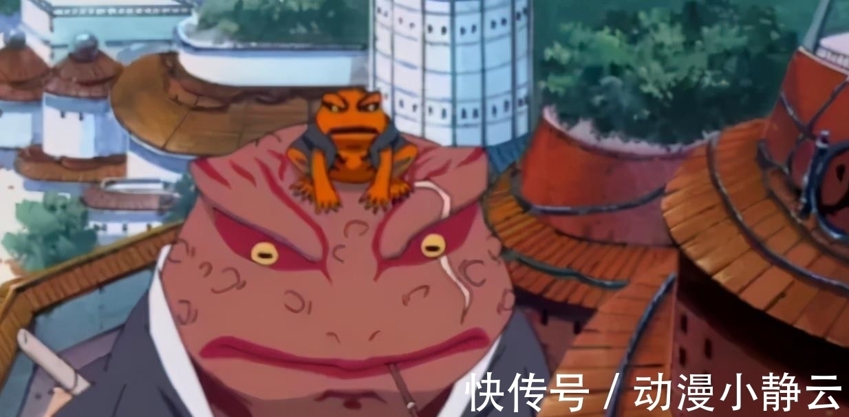 文太|自来也战死后,蛤蟆文太有多自责?看到这一身伤火影迷泪目了