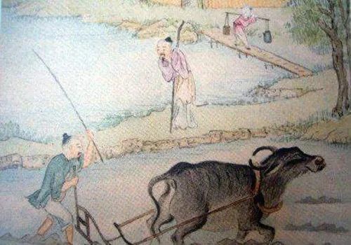 耕牛过时了吗?读两首诗词,看诗人笔下的老牛