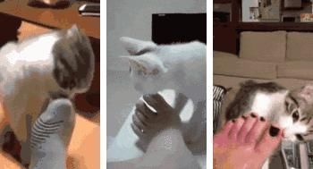 明星在浴室滑倒身亡,有多少人忽視了它的重要性?