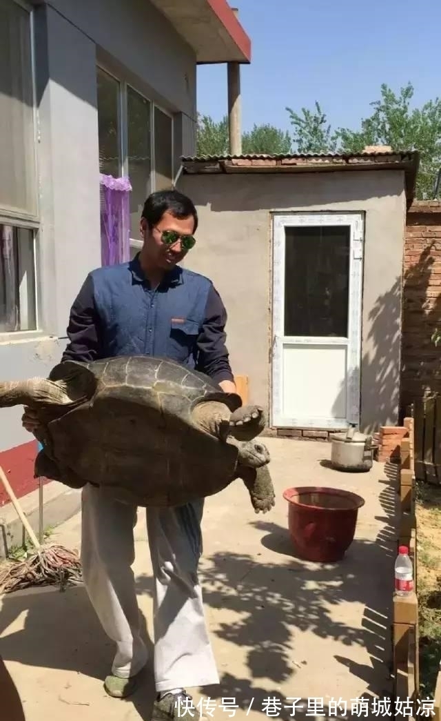 王昱珩|被《人民日报》表扬,1000万姑娘都想嫁,他将家变成热带雨林